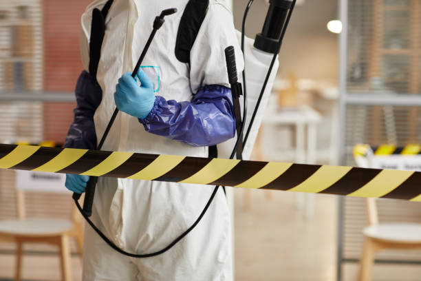 Professional Sewage Cleanup technician working in Forestville, MD